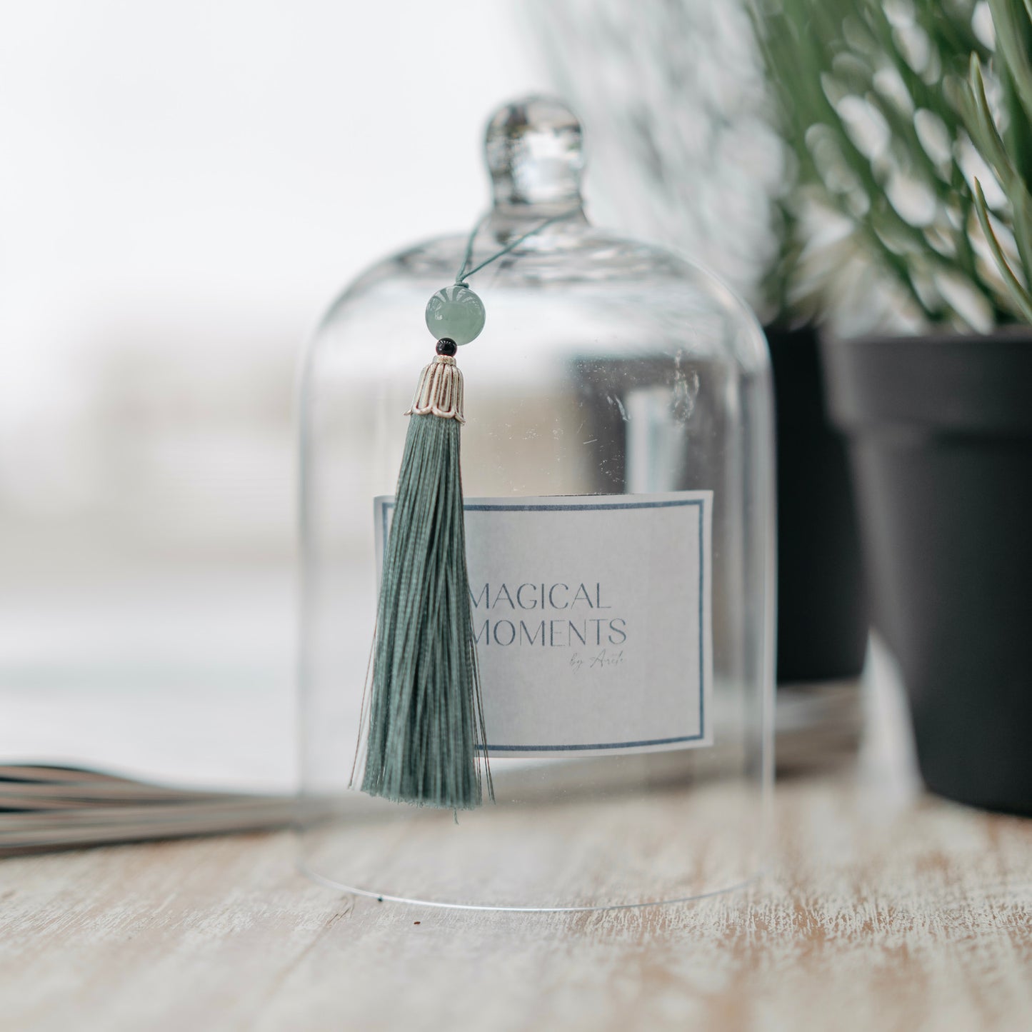 Clear Cloche with Tassel
