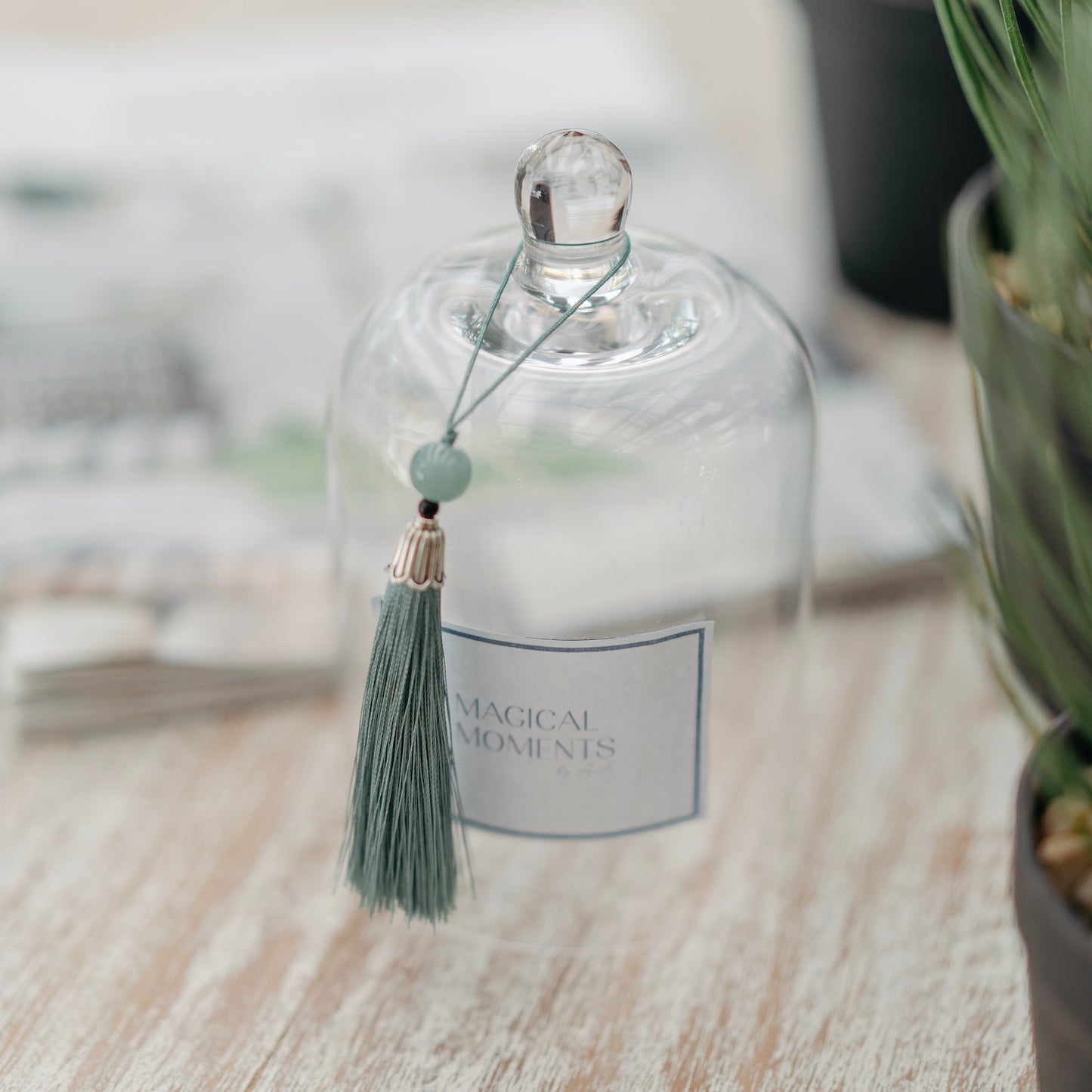 Clear Cloche with Tassel